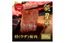 [№5784-1364]肉【和牛セレブ】能登牛　牛肩（ウデ） 焼肉 500g 黒毛和牛 霜降り ギフト 石川県 能美市