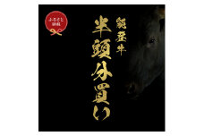[№5784-1402]肉【和牛セレブ】能登牛 半頭買い（24分割配送）2個口 黒毛和牛 霜降り ギフト 石川県 能美市