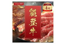 [№5784-1379]肉【和牛セレブ】能登牛 定期便「エコノミークラス」全4回 特選 しゃぶしゃぶ すき焼き 焼肉 ステーキ ギフト 石川県 能美市