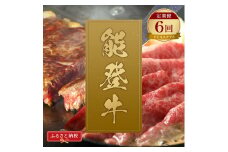 [№5784-1399]肉【和牛セレブ】能登牛 定期便「ビジネスクラス」全6回 特選 しゃぶしゃぶ すき焼き 焼肉 ステーキ ギフト 石川県 能美市