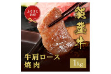 [№5784-1419]【和牛セレブ】能登牛 牛肩ロース 焼肉 1kg お肉ギフト専門店 石川県 能美市