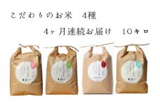 [№5784-0391]【4カ月連続でお届け】北本農場 「こだわりのお米」 令和7年度産　精米 10kg 