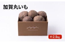 [№5784-0521]令和7年度産 加賀丸いも 2.5kg