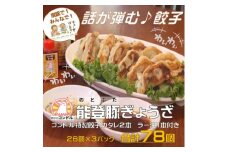 能登豚と新鮮キャベツのやみつき餃子　78個　専用タレ2本　ラー油1本付き 餃子のコンドル【1362229】