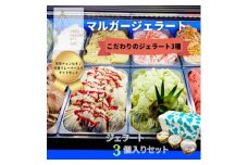 受賞・まるごと能登ジェラート3個【1421566】