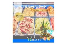 受賞・まるごと能登ジェラート12個_ ジェラート アイス セット スイーツ おやつ マルガジェラート 国産 産地直送 人気 おすすめ 送料無料 贈答 ギフト お取り寄せ 冷凍 ジェラテリア 石川 ソルベ バニラ 【1421589】