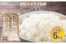 [№5528-0006]【令和6年度産】手取りのすず風米こしひかり　白米5kg