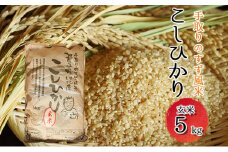[№5528-0007]【令和6年度産】手取りのすず風米こしひかり　玄米5kg