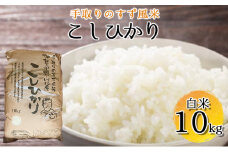 [№5528-0014]【令和6年度産】手取りのすず風米こしひかり　白米10kg
