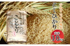 [№5528-0015]【令和6年度産】手取りのすず風米こしひかり　玄米10kg