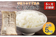 [№5528-0020]【令和6年度産】手取りのすず風米こしひかり　白米5kg入　6ヶ月連続