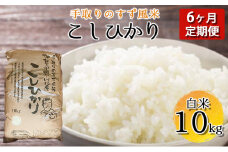 [№5528-0021]【令和6年度産】手取りのすず風米こしひかり　白米10kg　6ヶ月連続