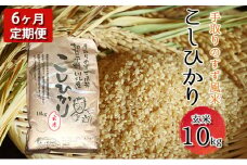 [№5528-0022]【令和6年度産】手取りのすず風米こしひかり　玄米10kg　6ヶ月連続