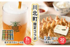 [№5528-0082]【川北町限定コラボ】金沢百万石ビール缶8本セット＆8番ラーメン餃子セット10人前 ビール 飲み比べ 餃子 ぎょうざ 冷凍餃子