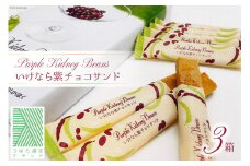 お菓子 個包装 いけなら紫 チョコサンド 16本入り× 3箱 [JA石川かほく 石川県 津幡町 28ab0016] チョコ チョコレート ちょこ 洋菓子
