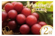 【期間限定発送】ぶどう ルビーロマン 2房 [JA石川かほく 石川県 津幡町 28ab0002] ブドウ 葡萄 フルーツ 果物 くだもの デザート 手土産 先行受付 冷蔵 果実