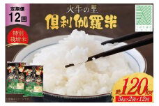 米 12回 定期便 火牛の里 倶利伽羅米 (特別栽培米) 10kg (5kg×2袋)×12回 総計120kg [JA石川かほく 石川県 津幡町 28ab0010] お米 白米 ご飯 ごはん コメ こめ 家庭用 おこめ 12ヶ月 12か月 精米
