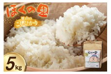 米 里山のこしひかり ほくの里 5kg 1袋 [JA石川かほく 石川県 津幡町 28ab0023] お米 白米 ご飯 ごはん コメ こめ 小分け 家庭用 コシヒカリ おこめ 精米