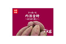 さつまいも(内灘金時)【1599623】