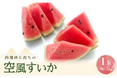 内灘砂丘育ちの空風すいか　Lサイズ(6～7kg)1個【1598281】