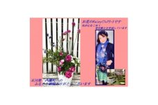 「ラッキーな寄せ植え」1鉢【1603720】