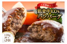 てらおか風舎の特選能登牛100%ハンバーグ 120g×5個 [てらおか風舎（寺岡畜産株式会社） 石川県 志賀町 AA4199] 肉 能登牛 ハンバーグ 5個 デミグラスソース付き 化粧箱入り
