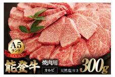 【てらおかの能登牛】極上能登牛カルビ(A5P)焼肉用(300g) [てらおか風舎（寺岡畜産株式会社） 石川県 志賀町 AA4238] 肉 牛肉 能登牛 極上 カルビ 焼肉用 300グラム