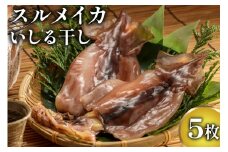スルメイカ いしる干しセット 5枚 [能西水産 石川県 志賀町 AD4115] スルメイカ いしる干し 干物 セット