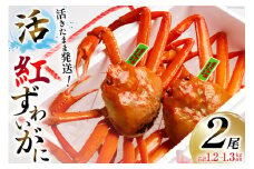 【能登半島 漁協直送 3月以降発送】 活 紅ズワイガニ 2尾（中サイズ） 計1.2～1.3kg前後 [JF西海 石川県 志賀町 AM4217] 蟹 カニ かに ズワイガニ ずわいがに 