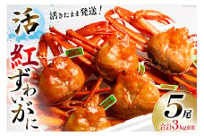 【能登半島 漁協直送 3月以降発送】 活 紅ズワイガニ (中サイズ） 5尾 計3kg前後 [JF西海 石川県 志賀町 AM4218] 蟹 カニ かに ズワイガニ ずわいがに 