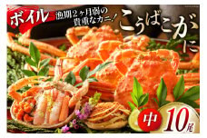 【期間限定発送】【能登半島 漁協直送！】ボイル済 香箱ガニ 10尾[JF西海 石川県 志賀町 AM4228] 蟹 カニ かに ズワイガニ セコガニ メス 内子