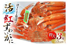 【能登半島 漁協直送 3月以降発送】 活紅ズワイガニ (特大サイズ) 3尾（合計３kg前後） [JF西海 石川県 志賀町 AM4222] 蟹 カニ かに ズワイガニ ずわいがに 