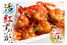 【能登半島 漁協直送 3月以降発送】 活 紅ズワイガニ 5尾(大サイズ) 計 4kg 前後 [JF西海 石川県 志賀町AM4221] 蟹 カニ かに ずわいがに ズワイガニ