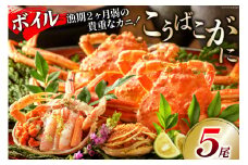 【期間限定発送】【能登半島 漁協直送！】ボイル済 香箱ガニ 5尾[JF西海 石川県 志賀町 AM4227] 蟹 カニ かに ズワイガニ セコガニ メス 内子