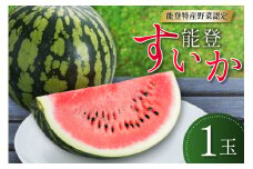 能登すいか １玉 [みちのえき旬菜館 石川県 志賀町 AP4113] スイカ すいか 能登 能登スイカ