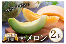 【期間限定】上棚赤土 メロン 2玉 [米吉農園 石川県 志賀町 BA4127] 果物 くだもの フルーツ