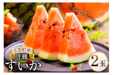 【期間限定】上棚 すいか 2玉 [米吉農園 石川県 志賀町 BA4119] スイカ 西瓜 果物 フルーツ 野菜