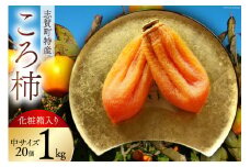 【ギフト用】高級『ころ柿』20個入り【数量・期間限定】 [しんめい 石川県 志賀町 AE4128] 果物 くだもの ほし柿 柿 ころ柿 期間限定 季節限定 数量限定 石川県産