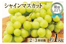 【期間限定発送】【能登ぶどう】シャインマスカット 約1kg（2～3房前後） [スギヨファーム 石川県 志賀町 AS4111] 果物 くだもの フルーツ 能登ぶどう シャインマスカット 1キロ
