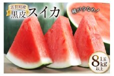 【期間限定】黒皮 スイカ（赤色）8kg以上 x 1玉 種が少なめ [米吉農園 石川県 志賀町 BA4113]  すいか 西瓜 果物 フルーツ 野菜