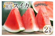 【期間限定】黒皮 スイカ ( 赤色 ) 5kg ～ 7kg x 2玉 種が少なめ [米吉農園 石川県 志賀町 BA4114] すいか 西瓜 果物 フルーツ 野菜