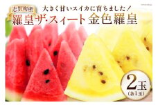 【期間限定】羅皇ザ・スウィート （赤色） 金色羅皇 （黄色）【幻のゴールデンスイカ】2玉（各1玉） [米吉農園 石川県 志賀町 BA4124] スイカ すいか 西瓜 果物 フルーツ 野菜