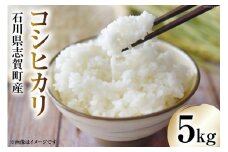 【令和7年産】米 コシヒカリ 5kg [トミヨの里 石川県 志賀町 CB4034] お米 こしひかり おこめ こめ コメ 精米 白米 ご飯 ごはん ゴハン 5キロ