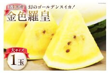 【期間限定】スイカ 大サイズ 金色羅皇（黄色）【幻のゴールデンスイカ】8kg前後 1玉 [米吉農園 石川県 志賀町 BA4126] すいか 西瓜 黄色スイカ 果物 フルーツ 野菜
