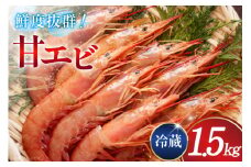 甘エビ 冷蔵 1.5kg [小川水産 石川県 志賀町 CM6008] 甘えび あまえび エビ 海老 甘海老
