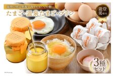 濃厚 プリン 6個 たまご 10個 ×2種 温泉たまご 8個 だし付き [ナカヤマエッグ 石川県 宝達志水町 38600467] 卵 タマゴ 桜っ子 能登鶏 ぷりん 食べ比べ お試し セット 詰め合わせ 卵かけご飯 卵かけ ご飯 たまごかけごはん スイーツ