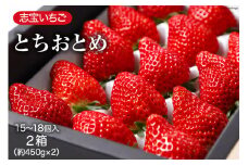 志宝いちご 約450g×2箱 [モアショップヤマモト 石川県 宝達志水町 38600649] 