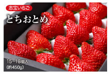 志宝いちご 約450g 15～18個入 [モアショップヤマモト 石川県 宝達志水町 38600648] 