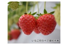 いちご狩りペア御招待券 [モアショップヤマモト 石川県 宝達志水町 A173860111]