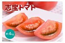 志宝トマト 約 4kg [モアショップヤマモト 石川県 宝達志水町 38601137] トマト とまと 野菜 食品 石川県産